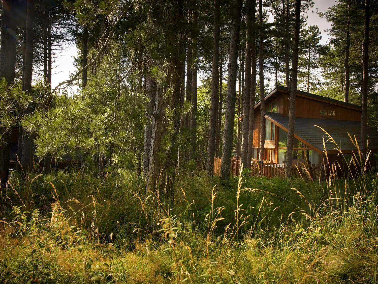 Blackwood Forest Cabins - Forest Holidays Popham Exterior foto