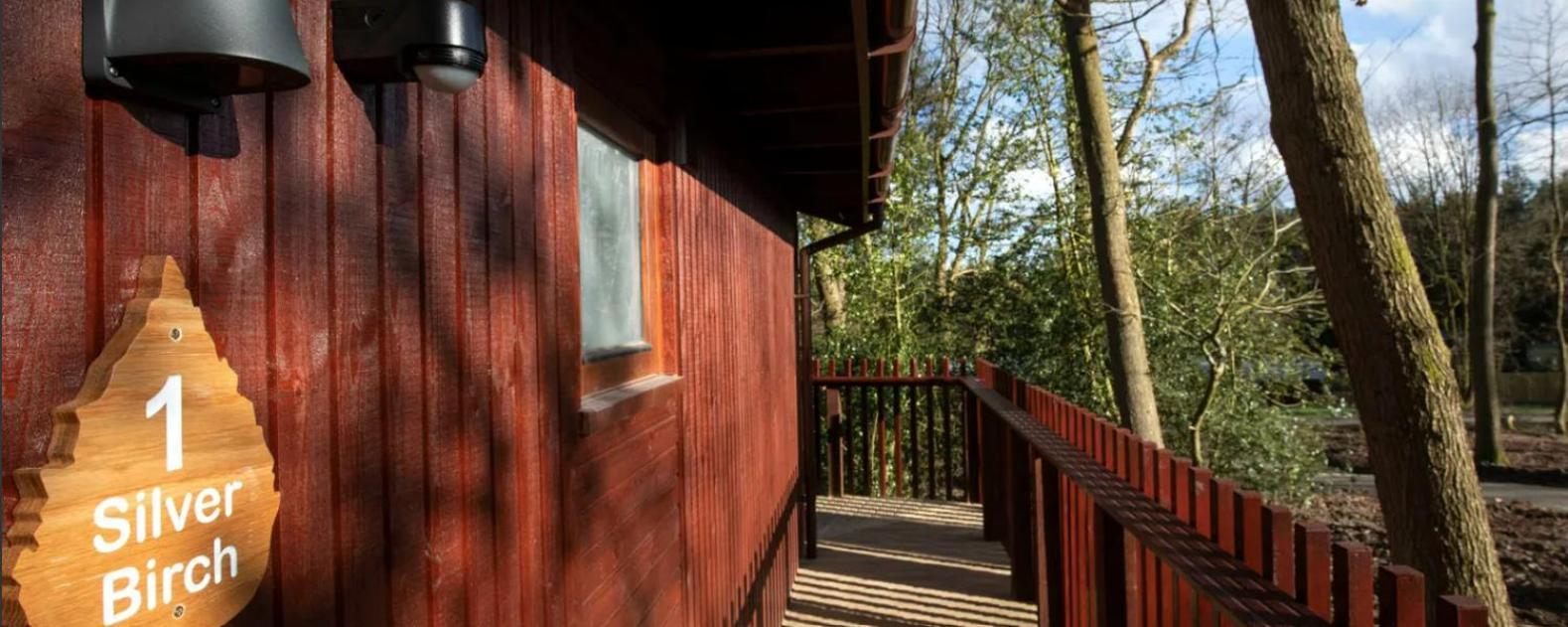 Blackwood Forest Cabins - Forest Holidays Popham Exterior foto